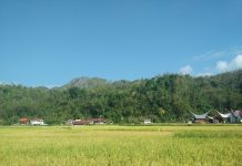 NEGERI PARA RAJA by Natanil