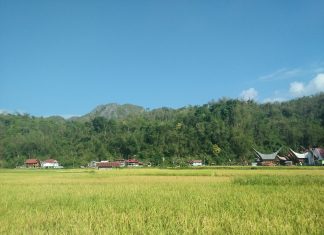 NEGERI PARA RAJA by Natanil